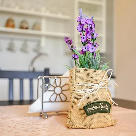 Villavida בית אירוח