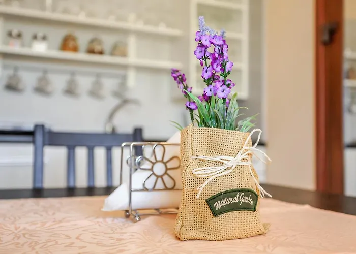 Villavida Homestay szállás